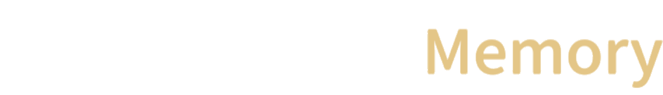 Animesis 记忆系统