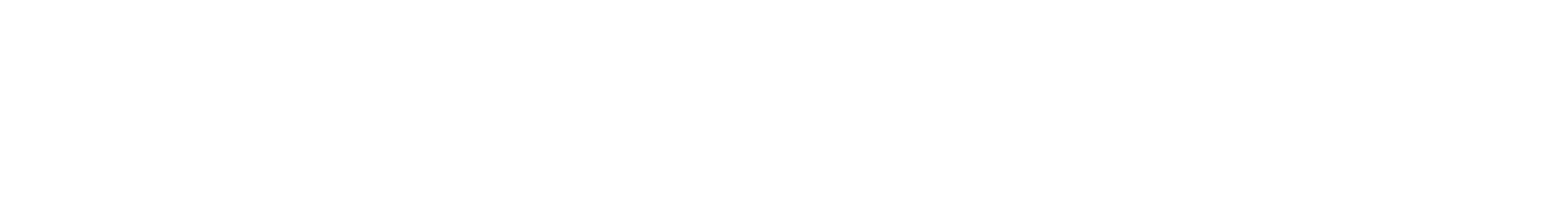 Animesis Memory